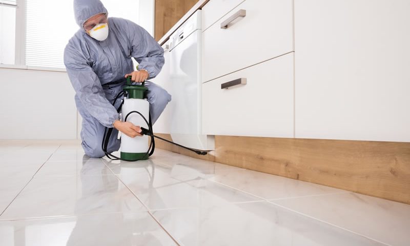 serviços profissionais de controle de pragas