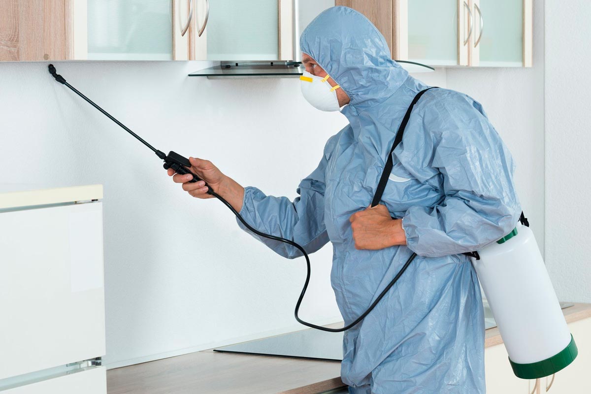 serviços profissionais de controle de pragas